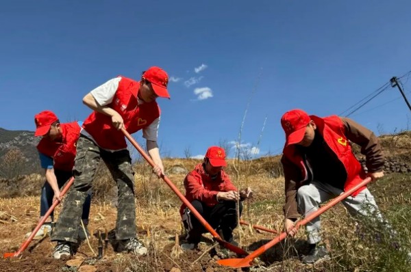 川交公司各項(xiàng)目沉浸式植樹